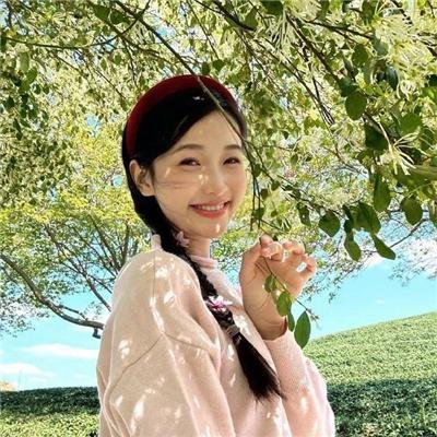 丹迪的解剖学